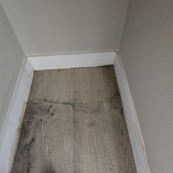 Mainstreet Equity - Mold and water damage that they claimed was fine and not there