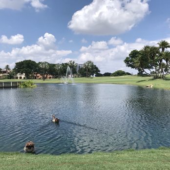 The Boca Raton - Ducks & geese roaming the golf course - Hotels Near Me - Boca Raton, Florida The Boca Raton - Ducks & geese roaming the golf course - Hotels Near Me - Boca Raton, Florida