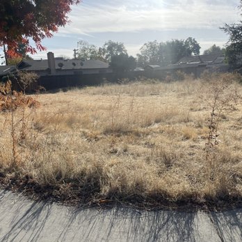 209JUNK - Land grown weeds - Junk Removal & Hauling Near Me 209JUNK - Land grown weeds - Junk Removal & Hauling Near Me