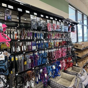 My Pet Market - Leashes and beds - Pet Stores Near Me - Phoenix, Arizona My Pet Market - Leashes and beds - Pet Stores Near Me - Phoenix, Arizona