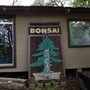 Photo of Bonsai Nursery