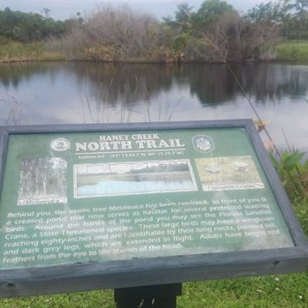 Haney Creek Trail - Little Scenic information as you walk to the dog park - Dog Parks Near Me - Stuart, Florida Haney Creek Trail - Little Scenic information as you walk to the dog park - Dog Parks Near Me - Stuart, Florida
