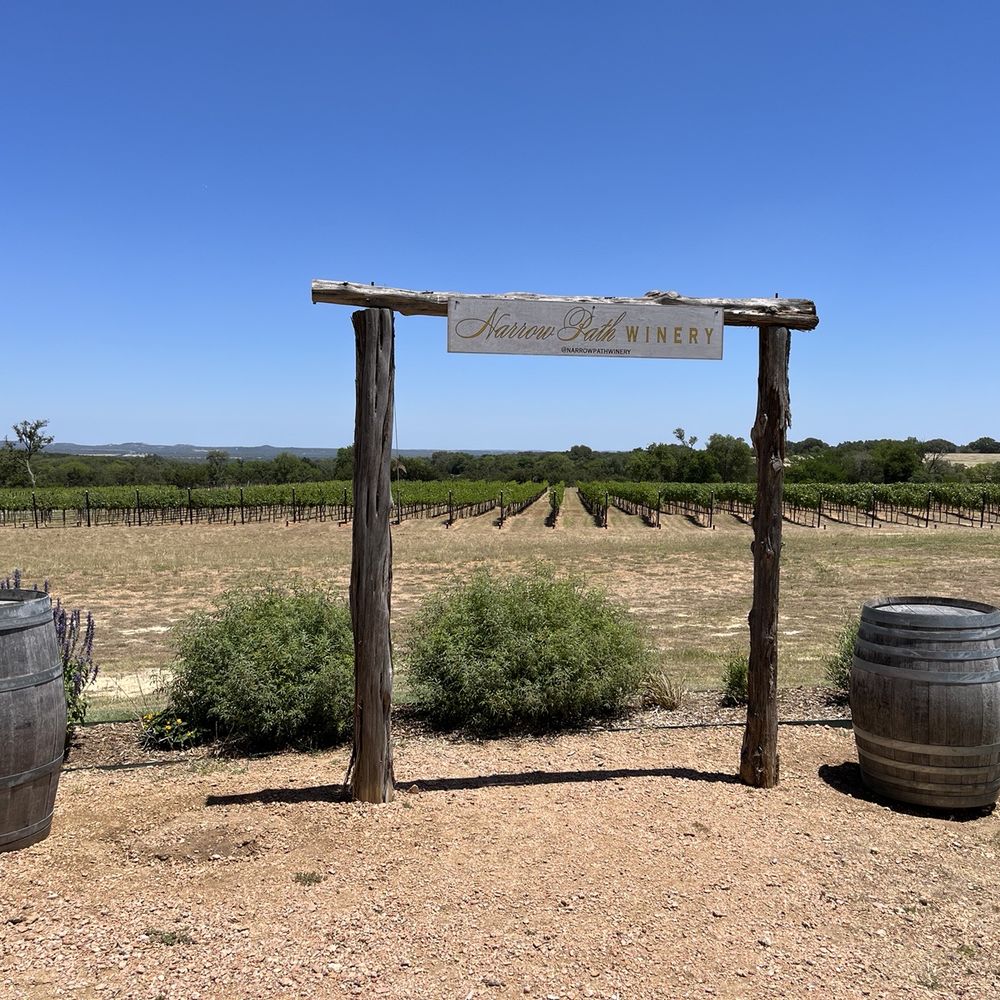 The vineyards in the background.