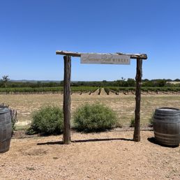 The vineyards in the background. The vineyards in the background.