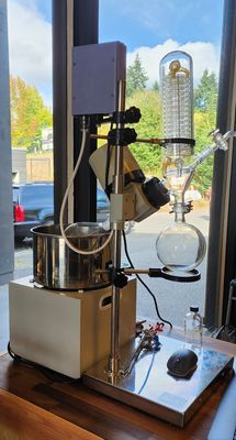 Sauce Nouvelle by null