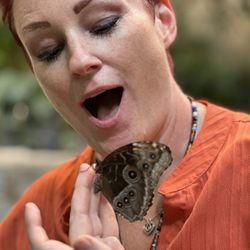 The Butterfly Palace & Rainforest Adventure - The first butterfly to land on me!! (When she opened her wings she was gorgeous blue!)