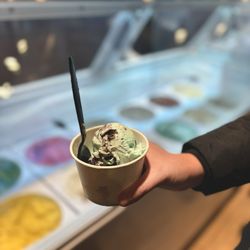 Sanders Chocolate & Ice Cream Shops - Single Scoop