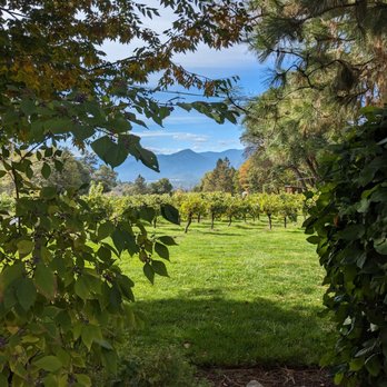 Wooldridge Creek Winery - Looking into the vineyard - Wineries Near Me - Grants Pass, Oregon Wooldridge Creek Winery - Looking into the vineyard - Wineries Near Me - Grants Pass, Oregon