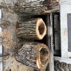 Aaron's Tree & Landscaping Services