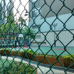 麥花臣場館