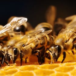 Stewart Termite & Pest Control