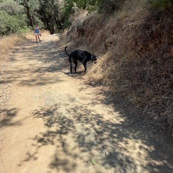 Robie Point Trail - Robie Point trail - Hiking Near Me - Auburn, California Robie Point Trail - Robie Point trail - Hiking Near Me - Auburn, California