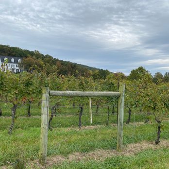 Delaplane Cellars - Vineyard - Wineries Near Me - Delaplane, Virginia Delaplane Cellars - Vineyard - Wineries Near Me - Delaplane, Virginia