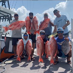 Anglers Envy - Great Day red snapper fishing!