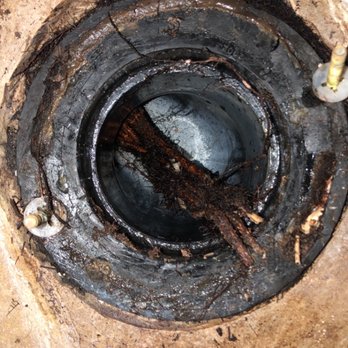 Drain Mob - It looks like it's coming from inside but the root grows between the concrete slab and the flange down into the pipe it's crazy... - Plumbing Near Me Drain Mob - It looks like it's coming from inside but the root grows between the concrete slab and the flange down into the pipe it's crazy... - Plumbing Near Me