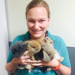 Shohola Veterinary Hospital