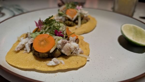 Las' Lap Miami by null