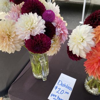 Crofton Farmers Market - Beautiful Fresh Cut Flowers - Farmers Market Near Me - Crofton, Maryland Crofton Farmers Market - Beautiful Fresh Cut Flowers - Farmers Market Near Me - Crofton, Maryland