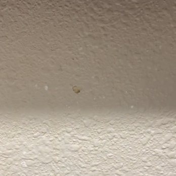 La Quinta Inn by Wyndham Jupiter - Boogers all over the walls - Hotels Near Me - Jupiter, Florida La Quinta Inn by Wyndham Jupiter - Boogers all over the walls - Hotels Near Me - Jupiter, Florida