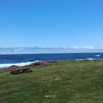 Adobe Restaurant and Lounge - Seafood Near Me - Yachats, Oregon