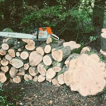 Beaver Bandits - Tree Services Near Me
