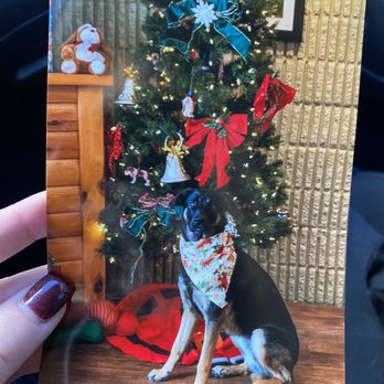 Camp Bow Wow - Pet Training Near Me - Littleton, Colorado Camp Bow Wow - Pet Training Near Me - Littleton, Colorado