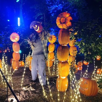 Carved @ Descanso Gardens - Scarecrow in a sunflower field. - Yelp Events Near Me - La Cañada Flintridge, California Carved @ Descanso Gardens - Scarecrow in a sunflower field. - Yelp Events Near Me - La Cañada Flintridge, California