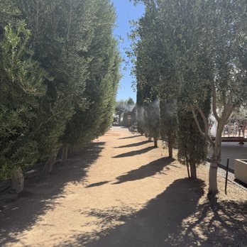 Queen Creek Olive Mill - Specialty Food Near Me - Queen Creek, Arizona
