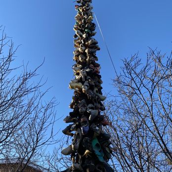 Shoe Tree - The Shoe Tree - Local Flavor Near Me - Albuquerque, New Mexico