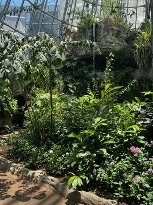 Cockrell Butterfly Center by null