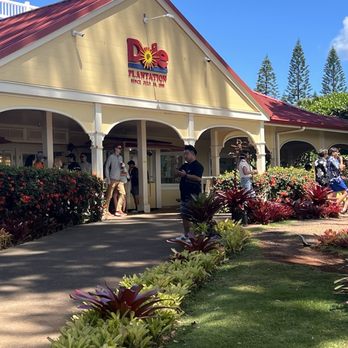 Hawaii Turtle Tours - Tours Near Me - Honolulu, Hawaii