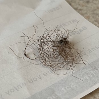 Bagel Talk Old Bridge - Close of up wad of hair. - Bagels Near Me - Old Bridge, New Jersey Bagel Talk Old Bridge - Close of up wad of hair. - Bagels Near Me - Old Bridge, New Jersey