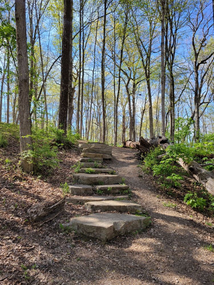 BIG RUN PARK Updated May 2024 14 Photos 4201 Clime Rd, Columbus