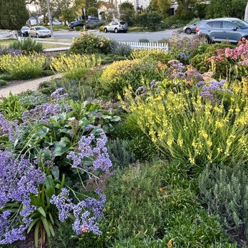 Robert Cornell & Associates - Landscaping Near Me - Pasadena, California Robert Cornell & Associates - Landscaping Near Me - Pasadena, California