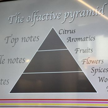 Maison Candora - Olfactive pyramid - Perfume Near Me - Paris, 75