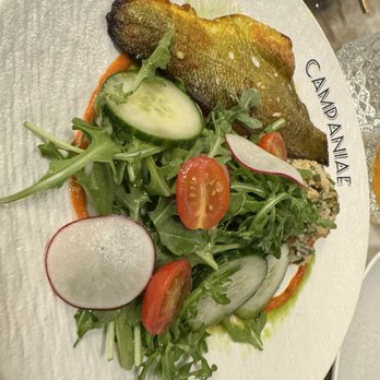 Campaniae - Moroccan Near Me - Toronto, Ontario