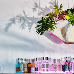 La Royal - Full bar specializing in South American spirits and cocktails, such as pisco sour, pisco martini, mezcal negroni + mezcal margarita!