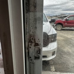 Siesta Inn - Mold