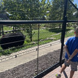 We got so close to that bear. We got so close to that bear.