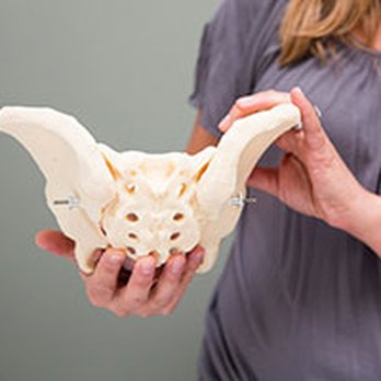 Beyond Basics Physical Therapy - The physical therapists at Beyond Basics are experts in evaluating and treating the multifaceted condition of pelvic pain and PFD. - Physical Therapy Near Me - New York, New York Beyond Basics Physical Therapy - The physical therapists at Beyond Basics are experts in evaluating and treating the multifaceted condition of pelvic pain and PFD. - Physical Therapy Near Me - New York, New York