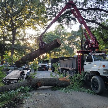 T & B Landscaping & Tree Service - Tree Services Near Me - Cumberland, Virginia T & B Landscaping & Tree Service - Tree Services Near Me - Cumberland, Virginia
