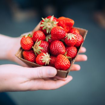 Avital - a person holding a box of strawberries - Food Tours Near Me - San Francisco, California Avital - a person holding a box of strawberries - Food Tours Near Me - San Francisco, California