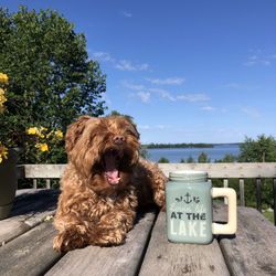 Pelican Lake Coffee - Everyone needs a little boost to stay awake while at the lake!