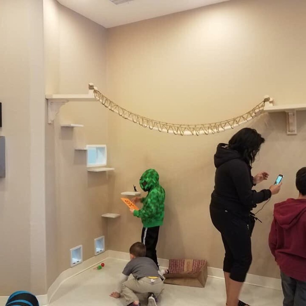 Catopia Cat Cafe - Pet Adoption Near Me - Albuquerque, New Mexico