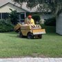 Photo of Stumpbusters Stump Removal