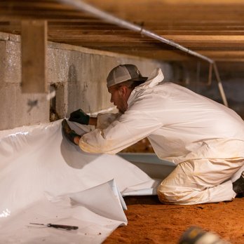 Breda Pest Management - Pest Control Near Me - Loganville, Georgia Breda Pest Management - Pest Control Near Me - Loganville, Georgia