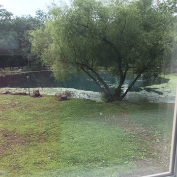Tiny Estates - Our view of the pond from inside our tiny home. - Vacation Rentals Near Me - Elizabethtown, Pennsylvania