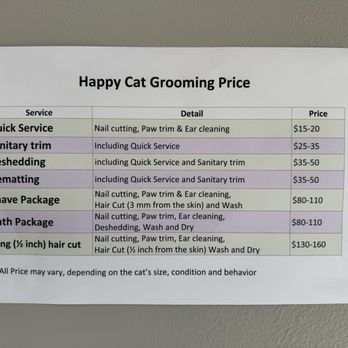 Complete Guide to Cat Grooming Prices in 2025 - petscare.com