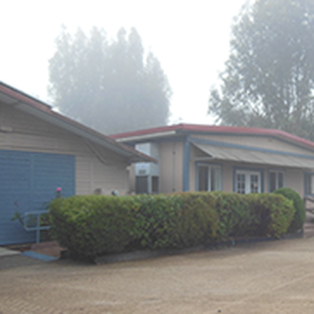 The Equine Center - Veterinarians Near Me - San Luis Obispo, California The Equine Center - Veterinarians Near Me - San Luis Obispo, California