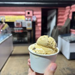 Humdoo Ice Cream - Toasty s'mores - kiddie size in cup